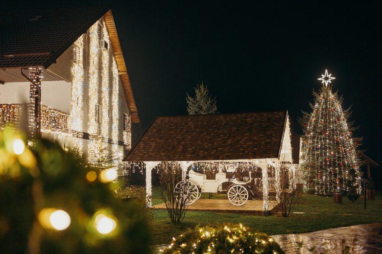 Bradul de Crăciun la La Filuța
