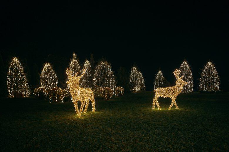 Decorațiuni luminoase cu reni la La Filuța